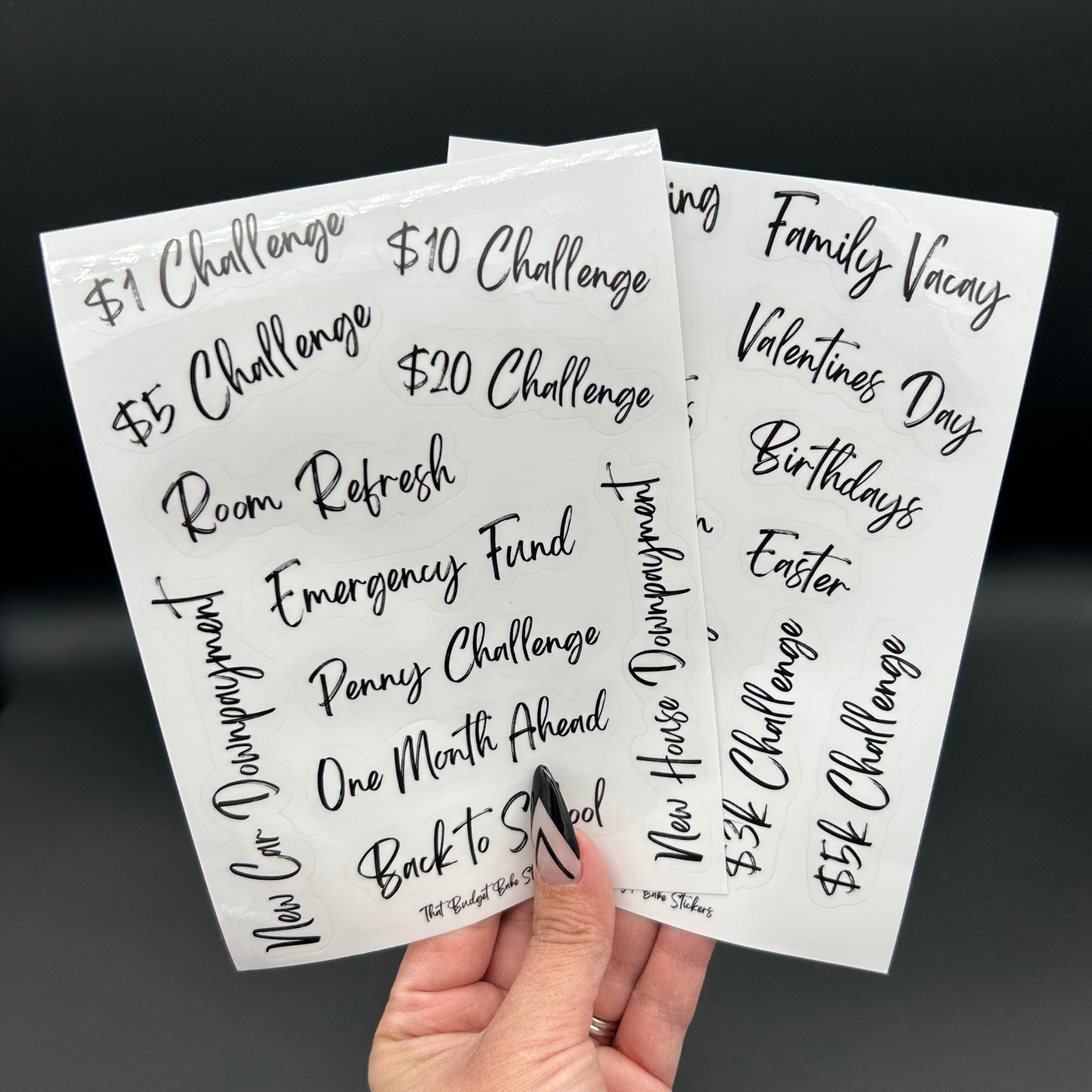 Savings Challenge Bundle - Savings Challenge Book | Cash Envelope Book | 2 Page Stickers