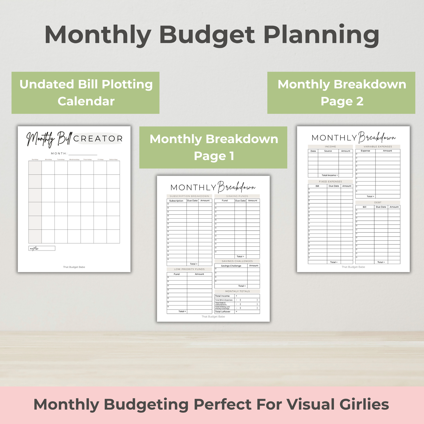 The #1 Viral TBB 12 Month Undated Budget Planner