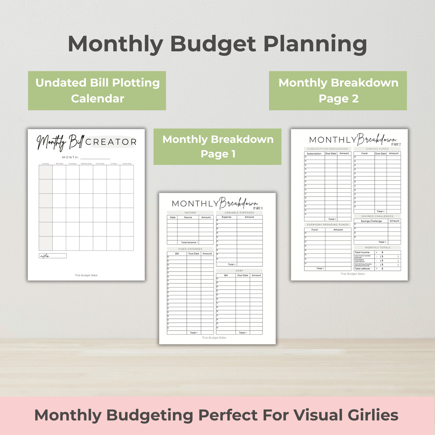 The #1 Viral TBB 12 Month Undated Budget Planner