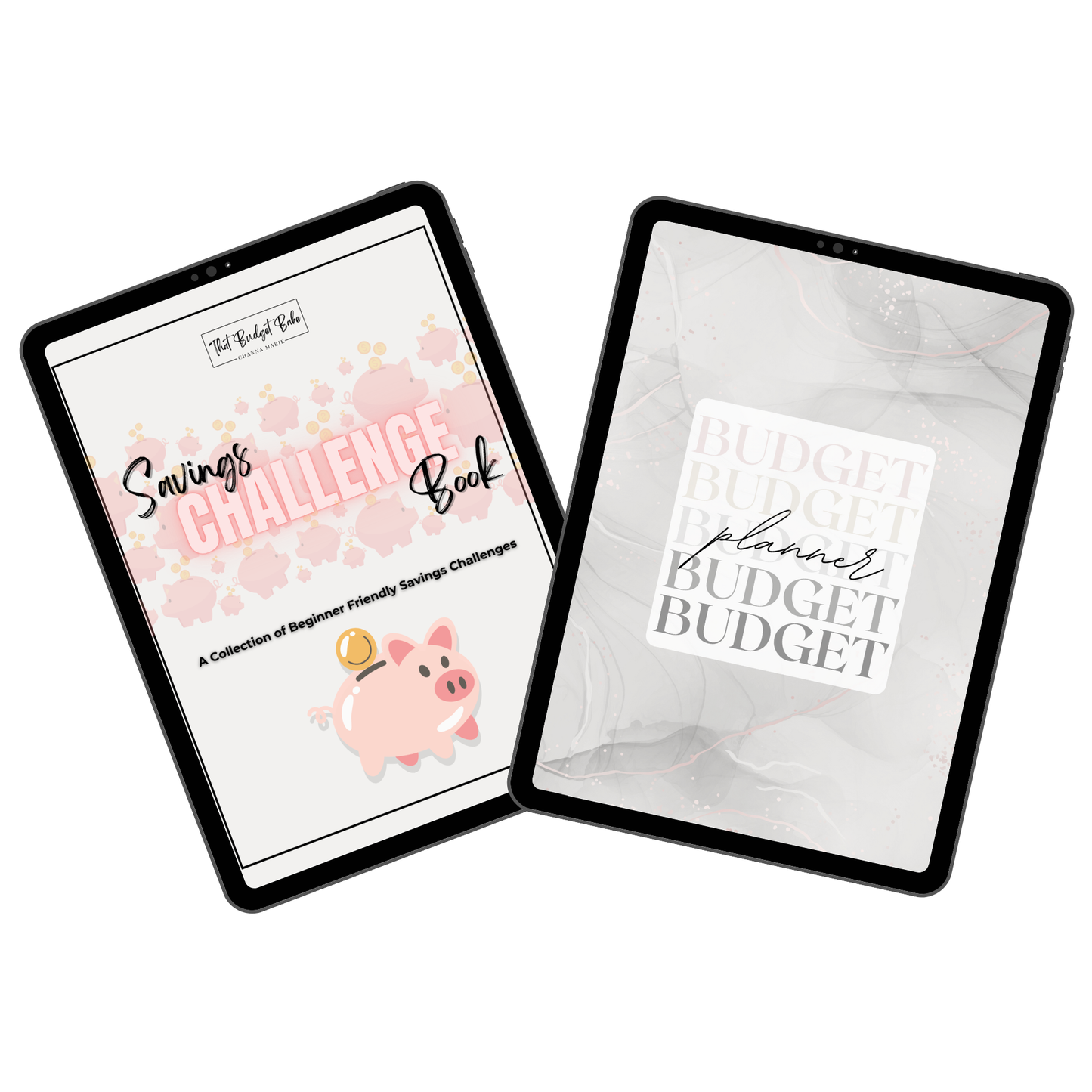 The Starter Kit PDF Download